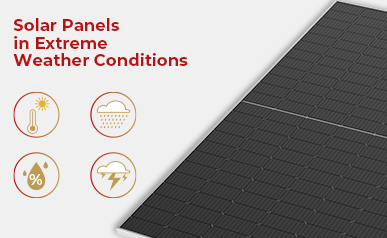 빗방울에서 광선까지: 끊임없이 변화하는 날씨에 태양광 패널이 어떻게 적응하는지 발견